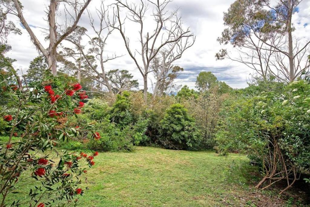 The Black Cockatoo - Secret Garden Treetops Home Katoomba Exteriér fotografie