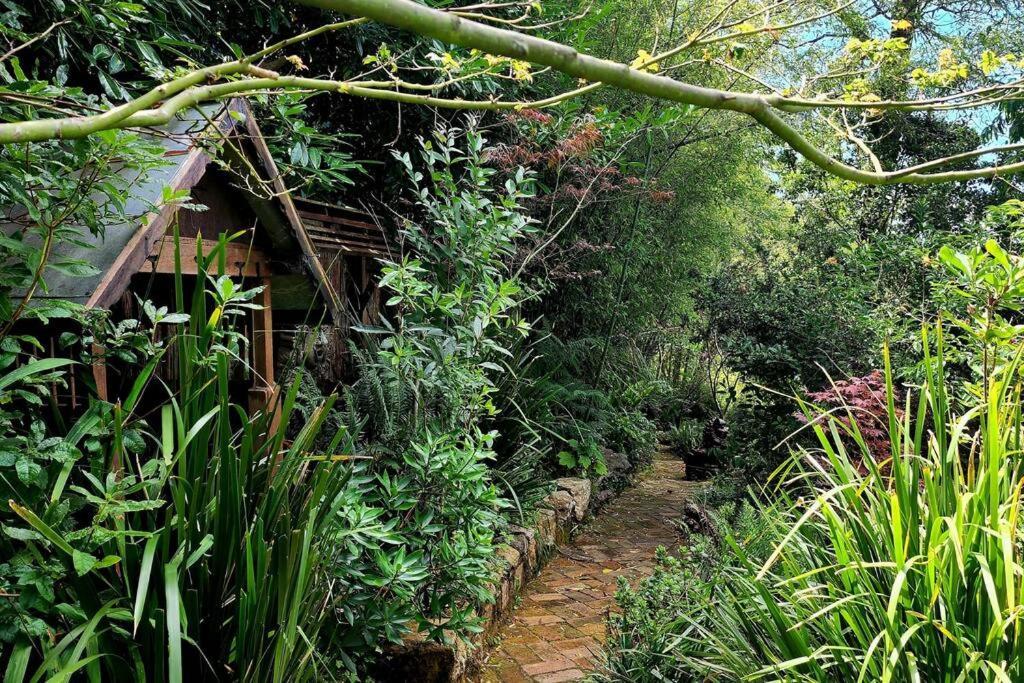 The Black Cockatoo - Secret Garden Treetops Home Katoomba Exteriér fotografie