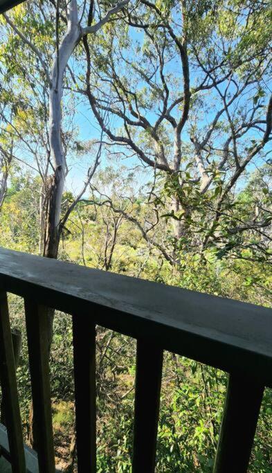 The Black Cockatoo - Secret Garden Treetops Home Katoomba Exteriér fotografie